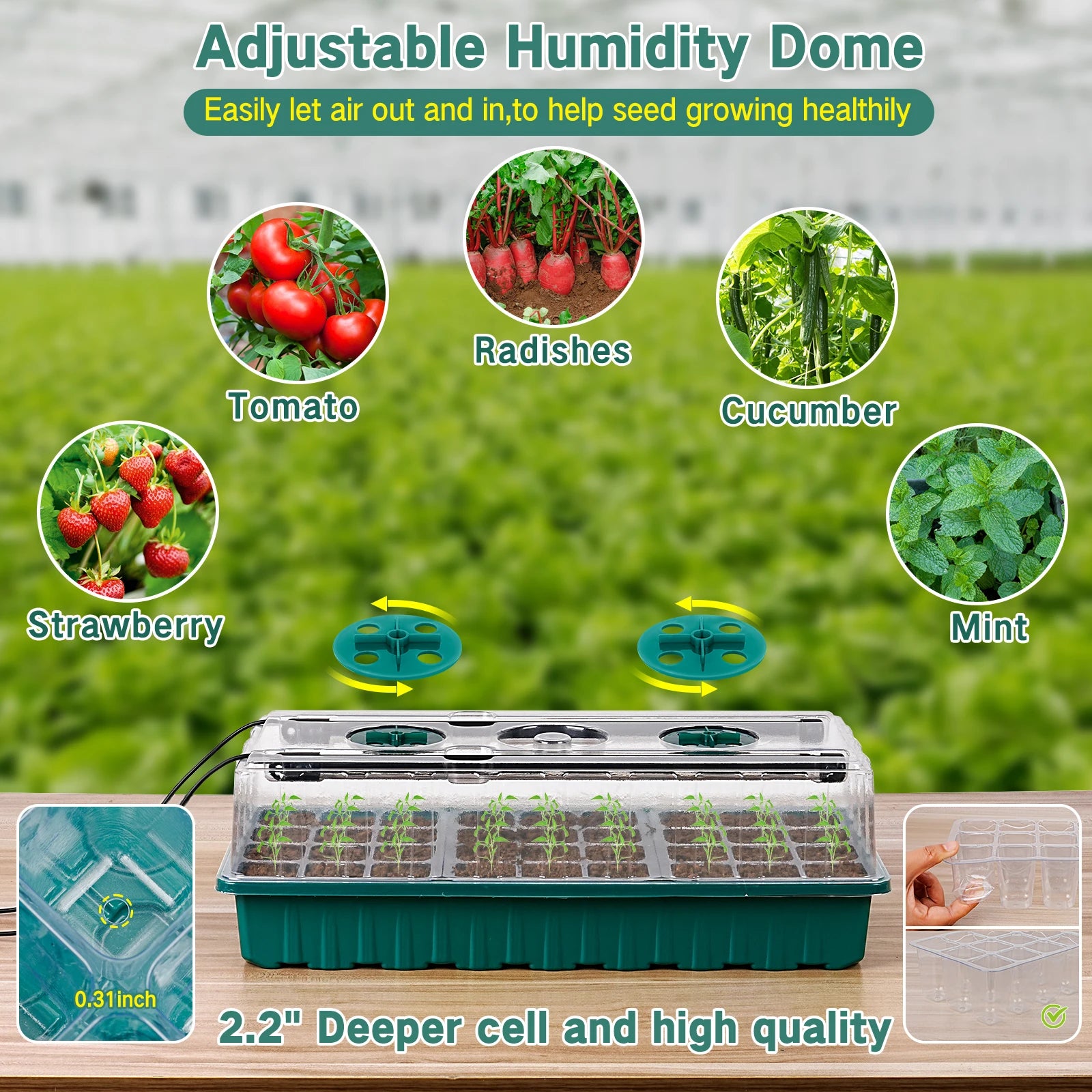 36-Cell Seed Starter Tray with Adjustable Grow Light & Humidity Dome