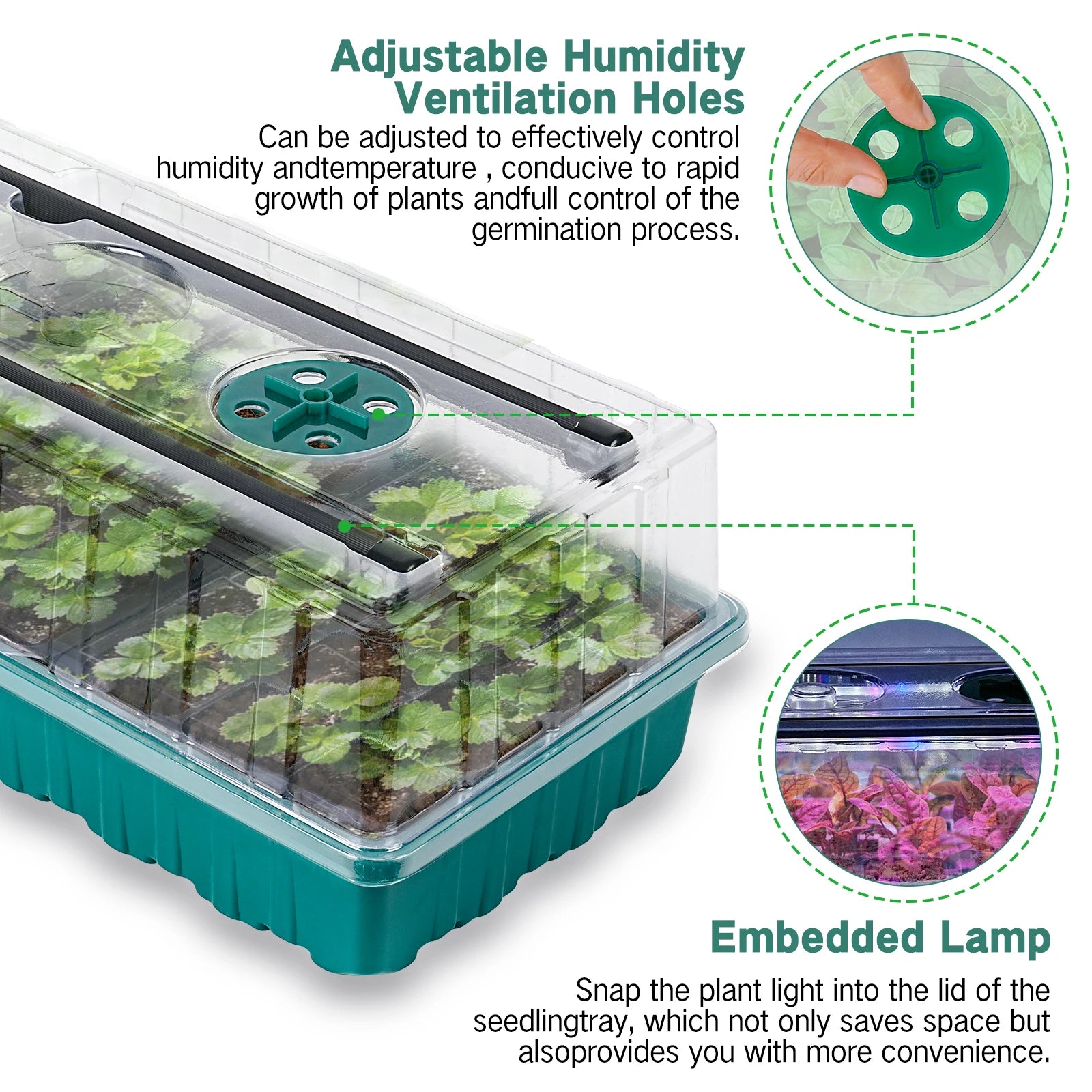 36-Cell Seed Starter Tray with Adjustable Grow Light & Humidity Dome