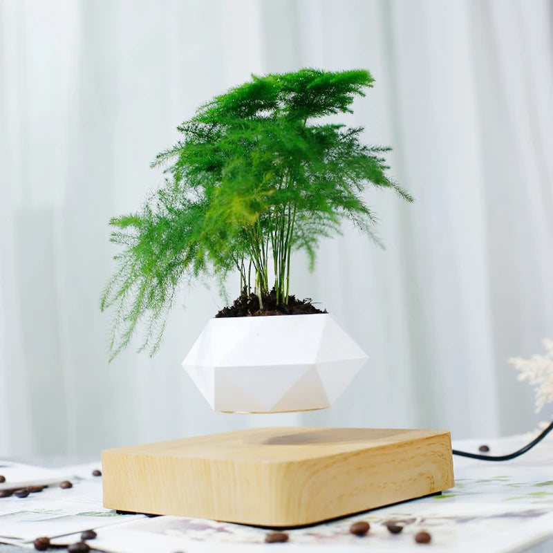 Levitating Air Bonsai Pot – Magnetic Floating Planter