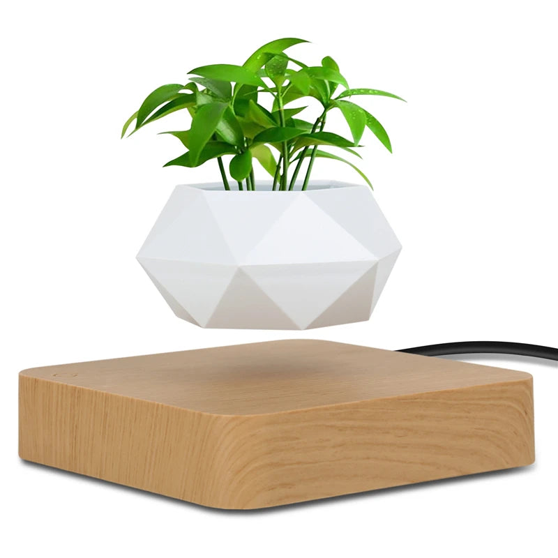 Levitating Air Bonsai Pot – Magnetic Floating Planter