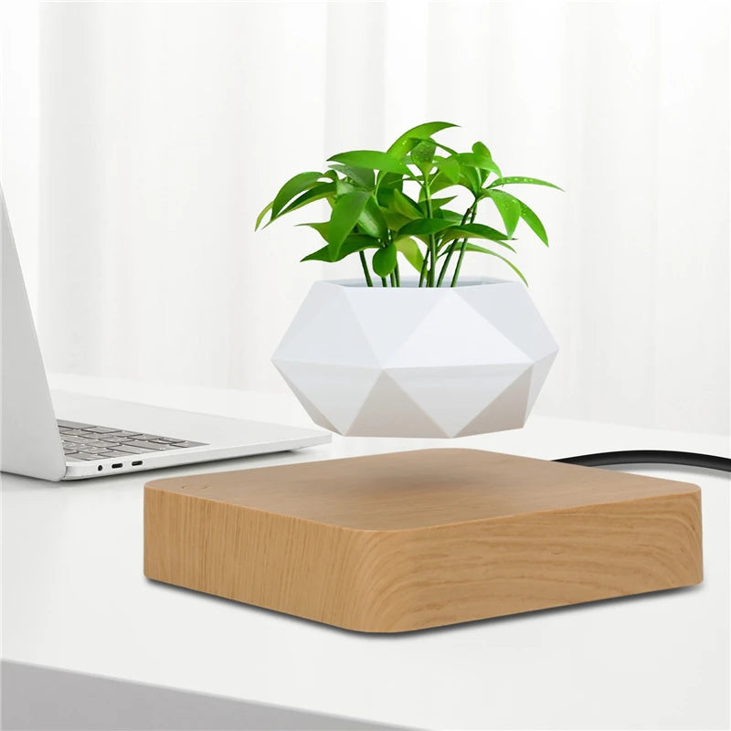 Levitating Air Bonsai Pot – Magnetic Floating Planter
