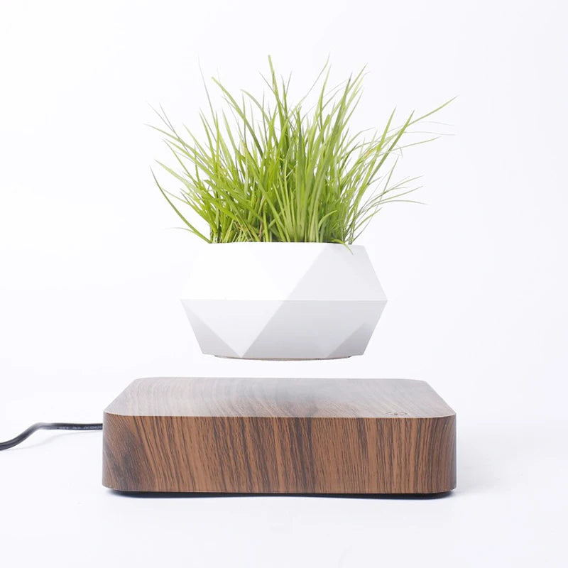 Levitating Air Bonsai Pot – Magnetic Floating Planter