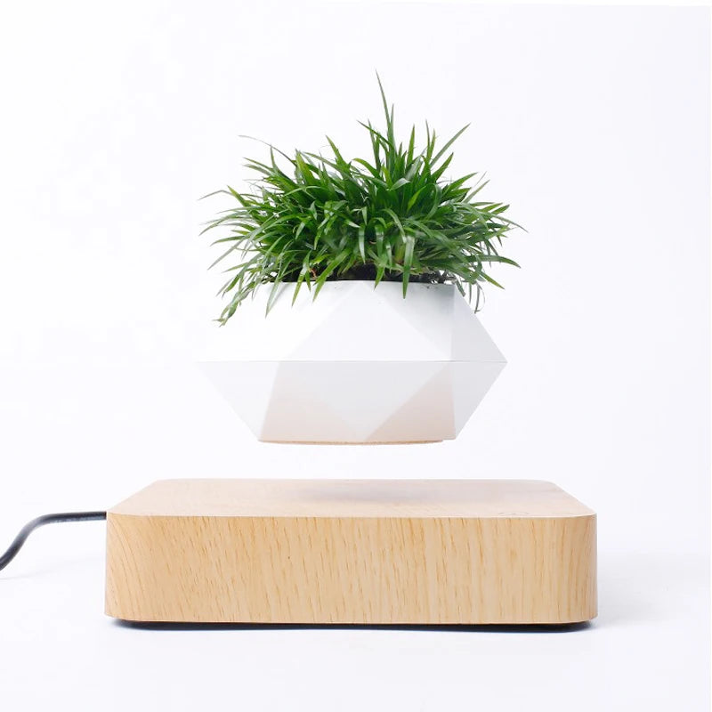 Levitating Air Bonsai Pot – Magnetic Floating Planter