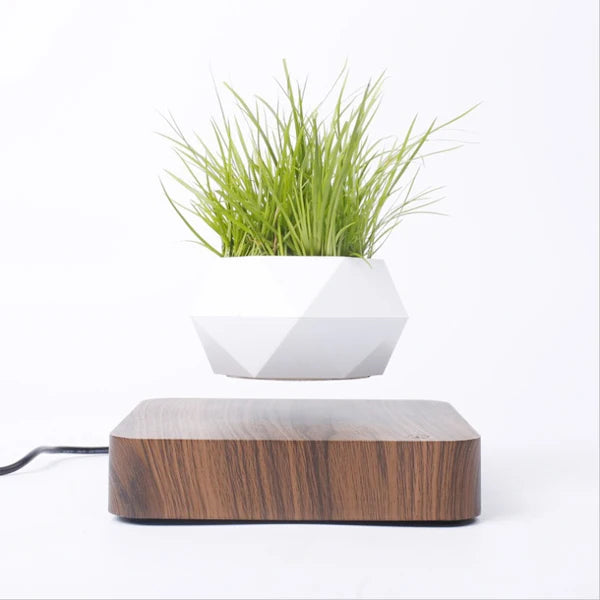 Levitating Air Bonsai Pot – Magnetic Floating Planter
