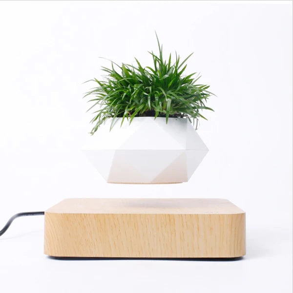 Levitating Air Bonsai Pot – Magnetic Floating Planter