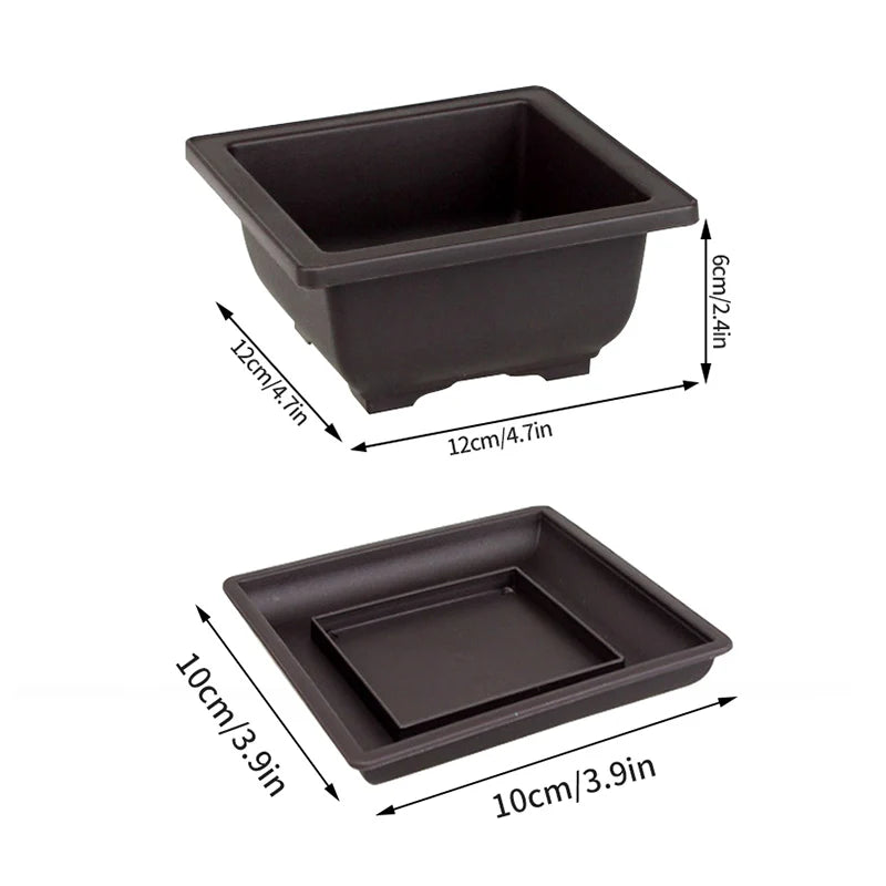 Square Bonsai Tray Planter – Imitation Purple Clay Flower Pot