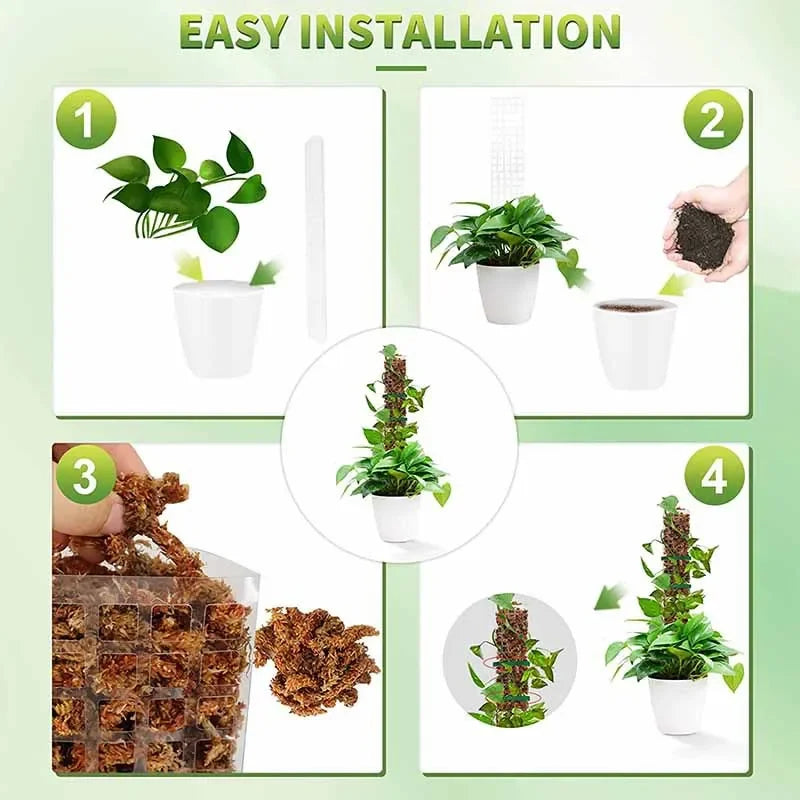 Moss Pole Plant Support – Indoor Climbing Plant Stand