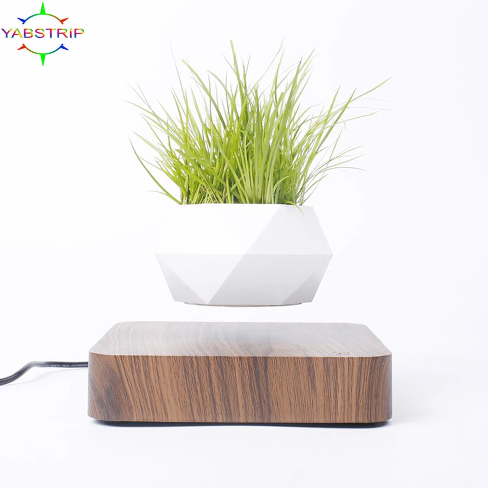 Levitating Air Bonsai Pot – Magnetic Floating Planter