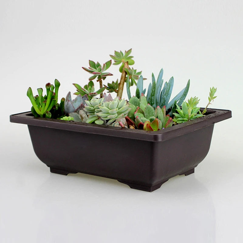 Square Bonsai Tray Planter – Imitation Purple Clay Flower Pot
