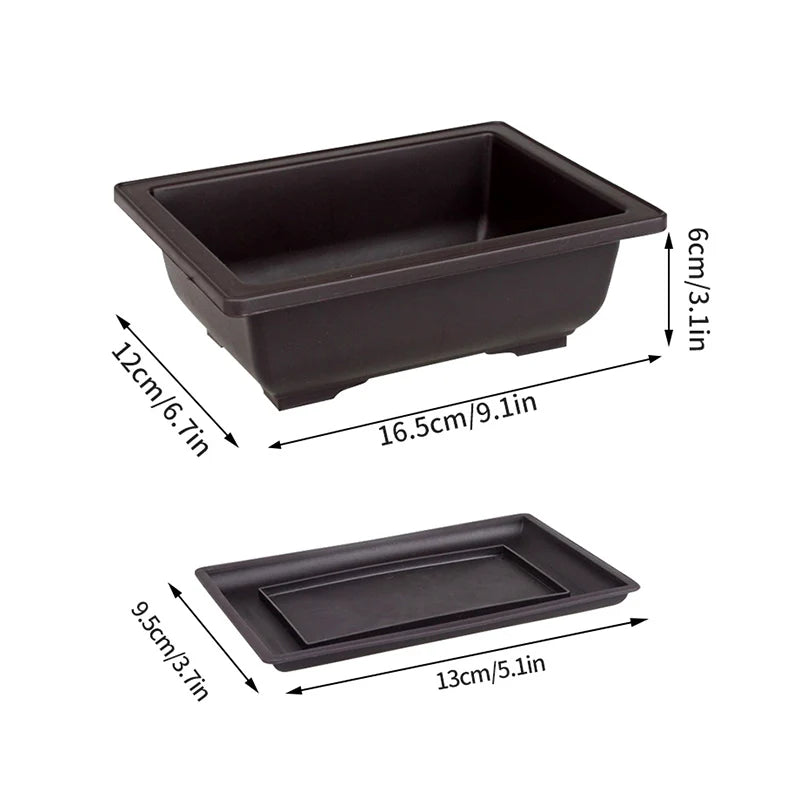 Square Bonsai Tray Planter – Imitation Purple Clay Flower Pot
