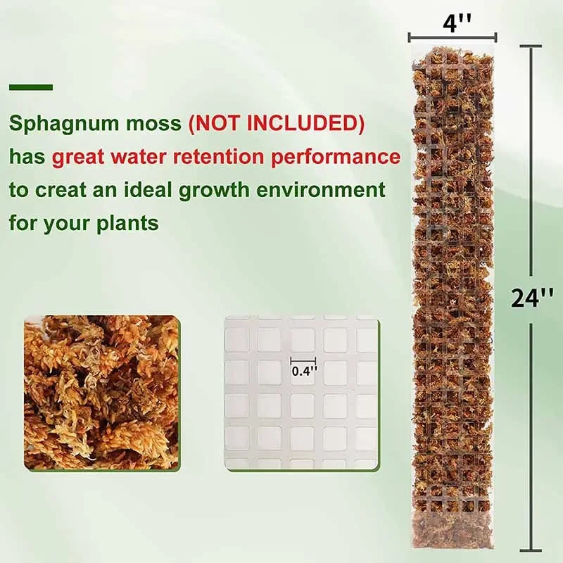 Moss Pole Plant Support – Indoor Climbing Plant Stand