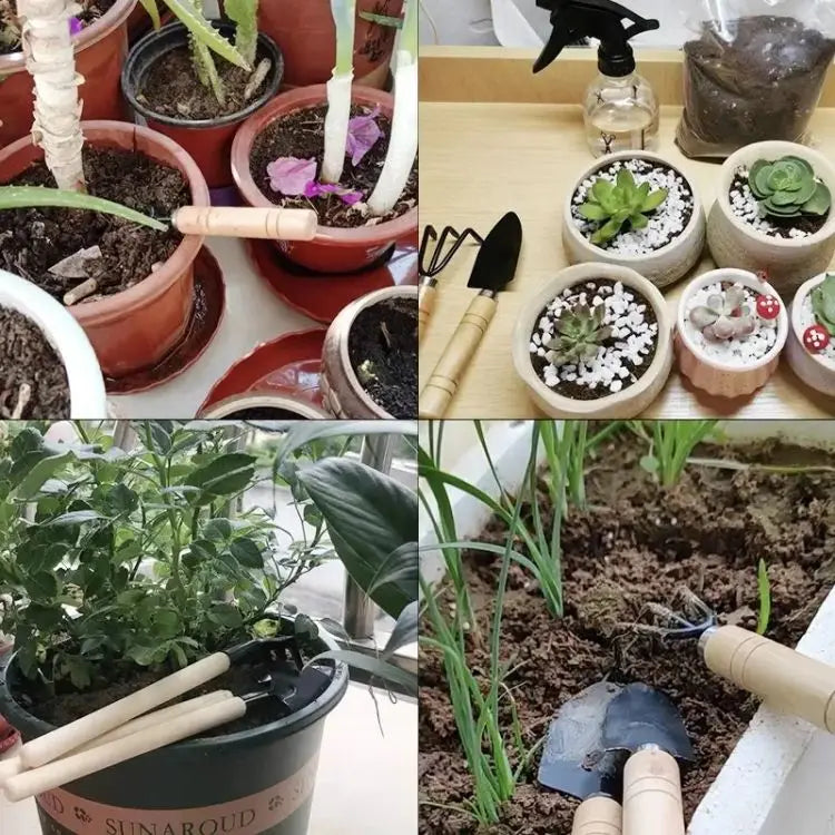 3-Piece Mini Garden Tool Set – Small Plant & Succulent Gardening Kit