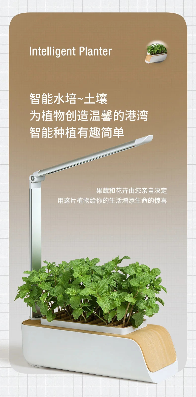 Smart Hydroponic Flowerpot – Mini Indoor Vegetable & Succulent Planter