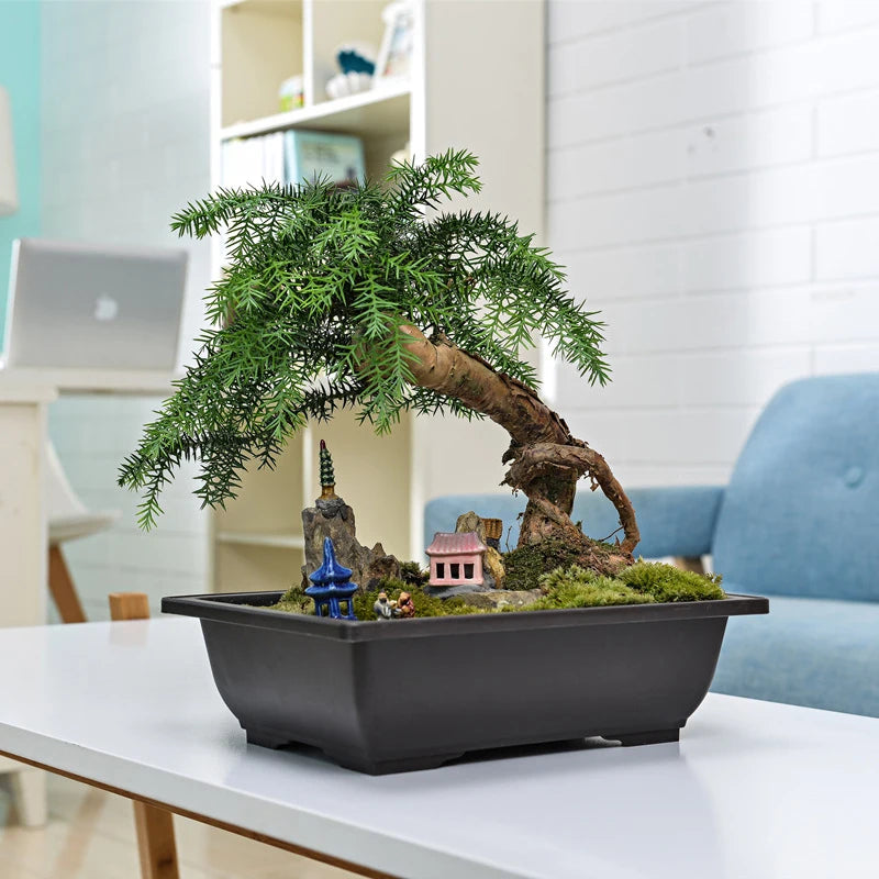 Square Bonsai Tray Planter – Imitation Purple Clay Flower Pot