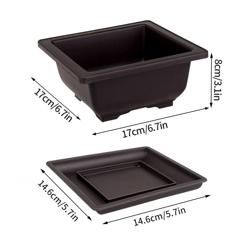 Square Bonsai Tray Planter – Imitation Purple Clay Flower Pot