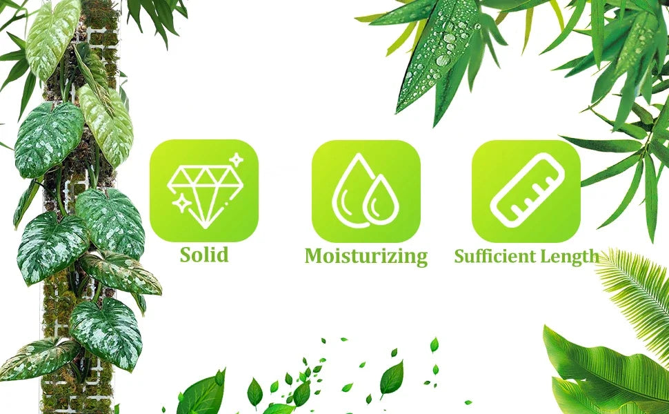 Moss Pole Plant Support – Indoor Climbing Plant Stand