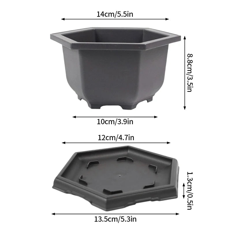 Square Bonsai Tray Planter – Imitation Purple Clay Flower Pot