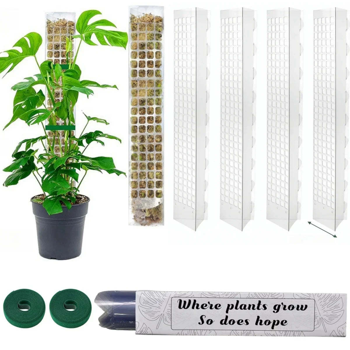 Moss Pole Plant Support – Indoor Climbing Plant Stand