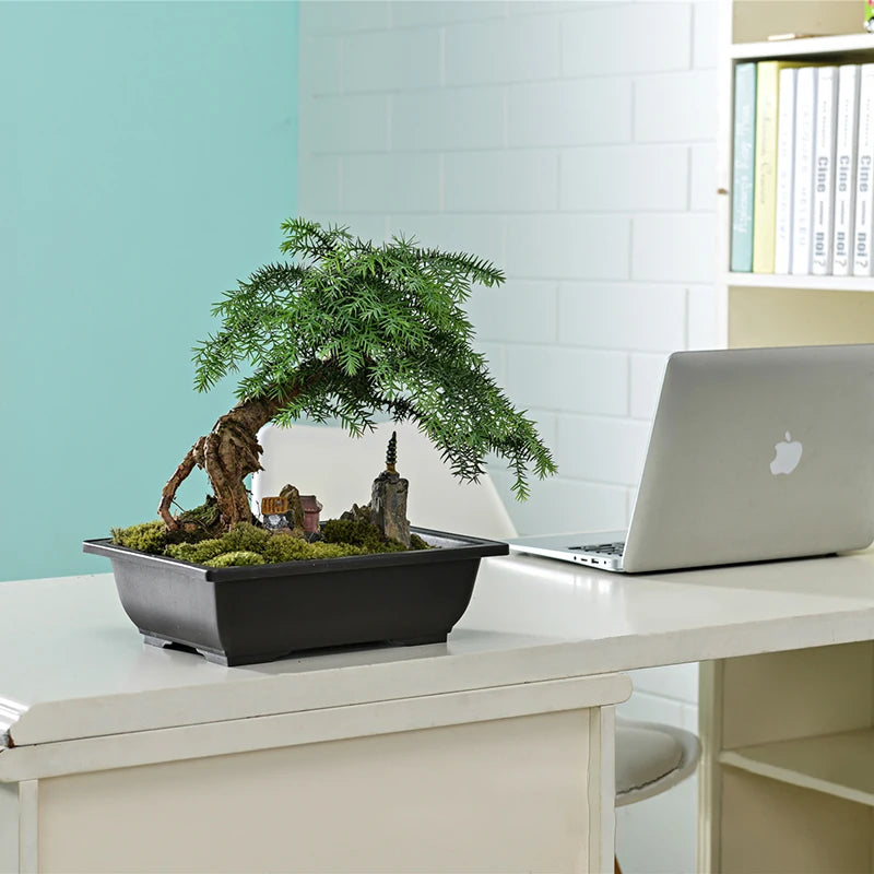 Square Bonsai Tray Planter – Imitation Purple Clay Flower Pot