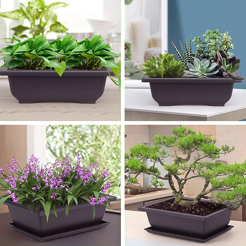 Square Bonsai Tray Planter – Imitation Purple Clay Flower Pot