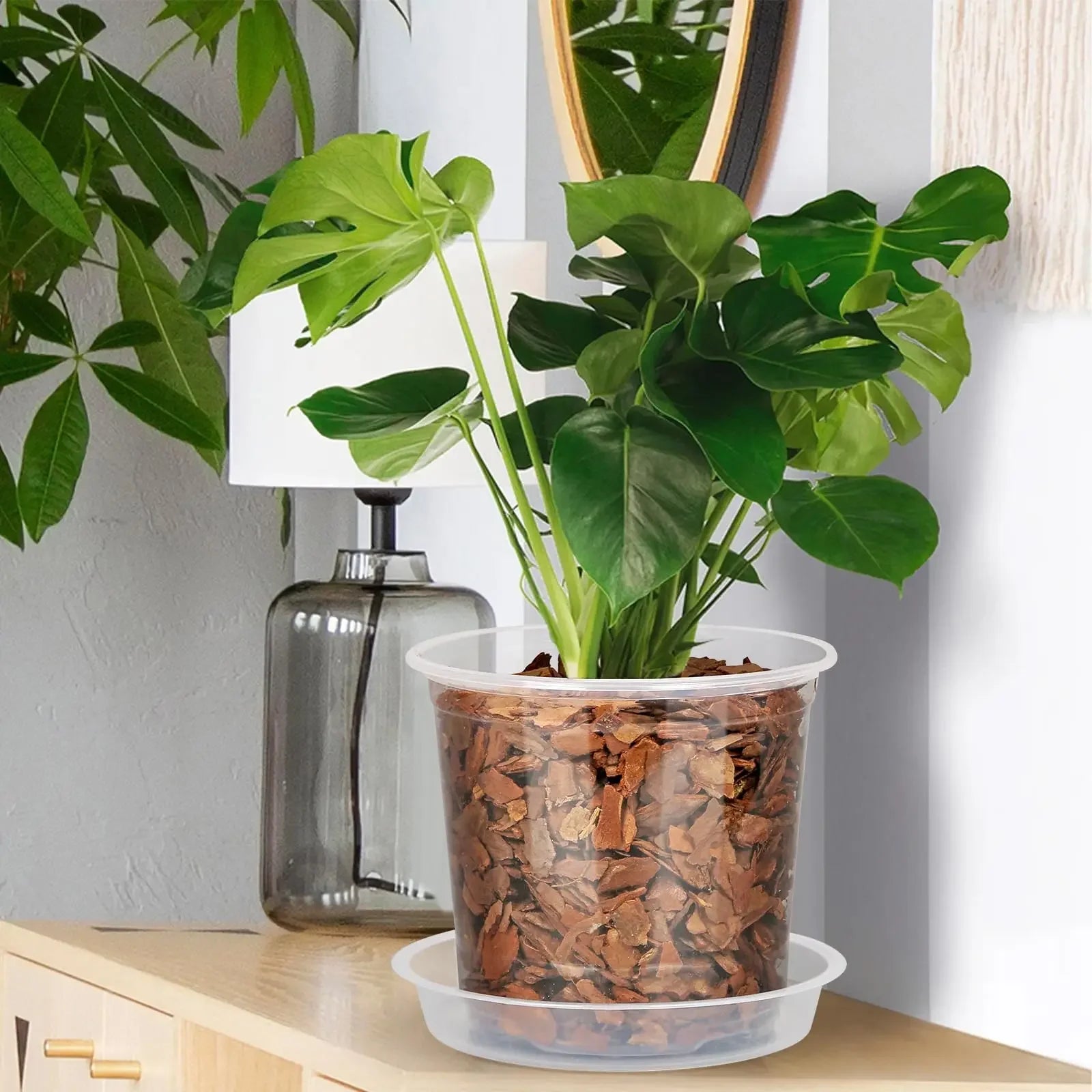 72-Piece Clear Nursery Pot Set with Trays & Labels – Seed Starter Kit