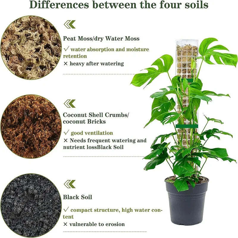 Moss Pole Plant Support – Indoor Climbing Plant Stand