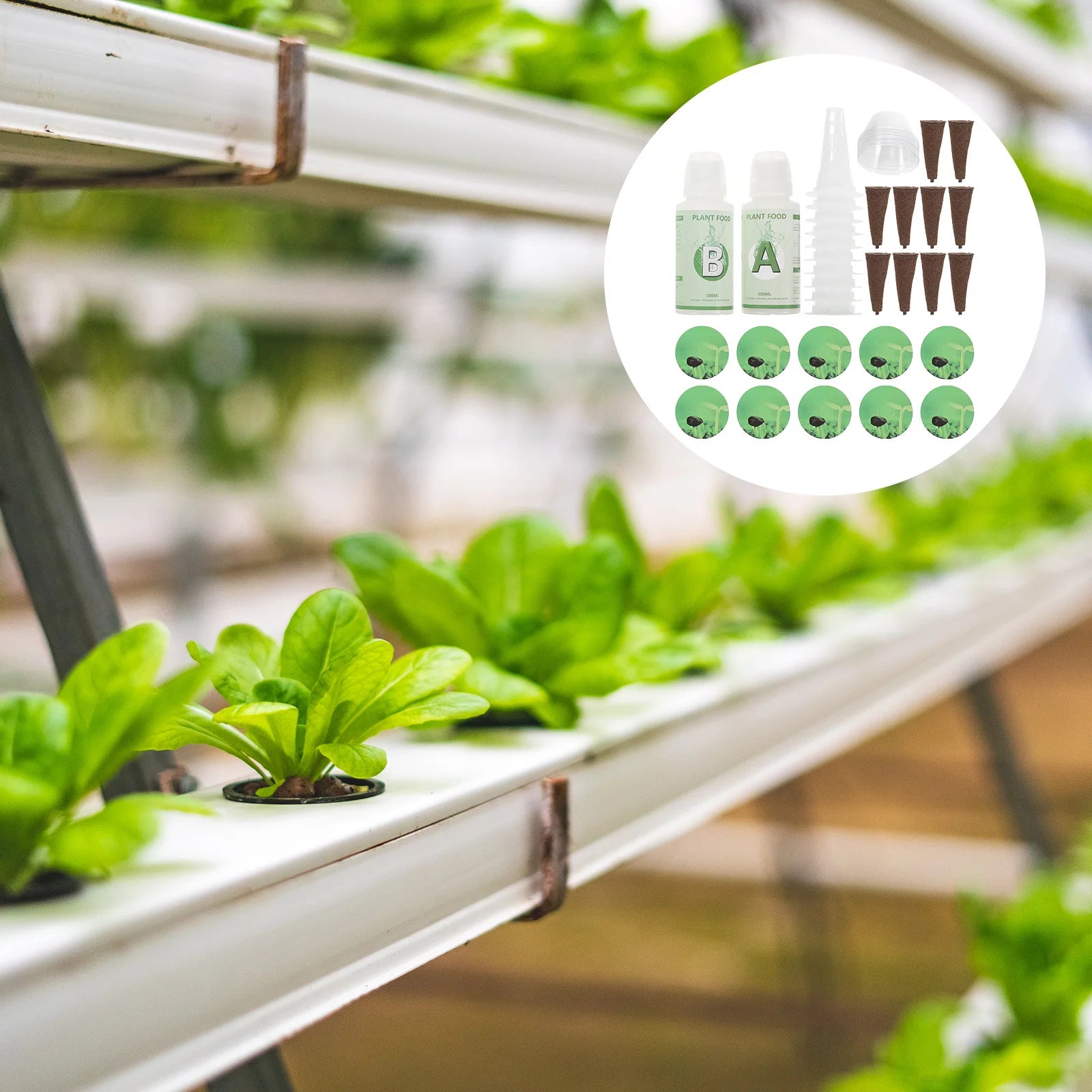 Hydroponic Plant Grow Basket Set – Soilless Pots with Humidity Dome