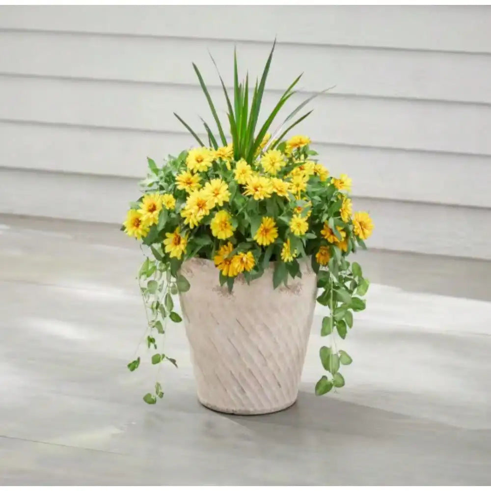 Large Durable Plant Pot – Indoor Frost & Fade Resistant Planter