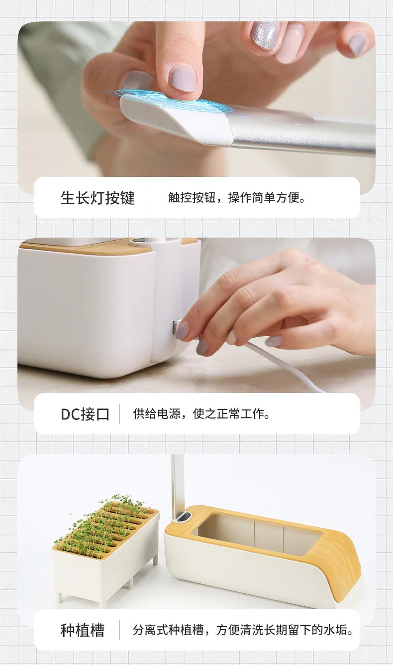 Smart Hydroponic Flowerpot – Mini Indoor Vegetable & Succulent Planter