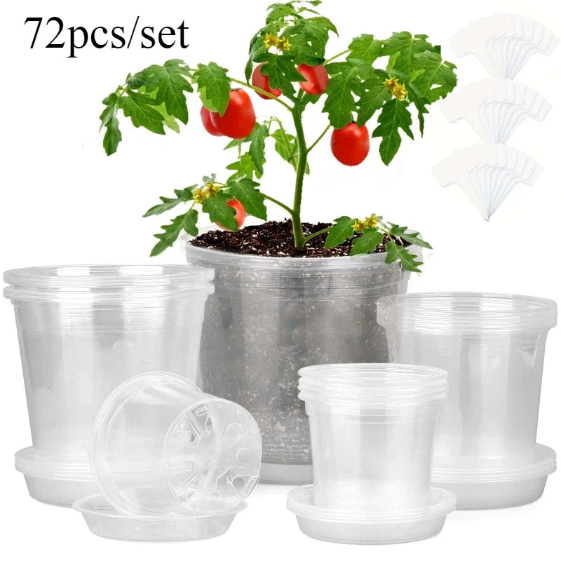 72-Piece Clear Nursery Pot Set with Trays & Labels – Seed Starter Kit