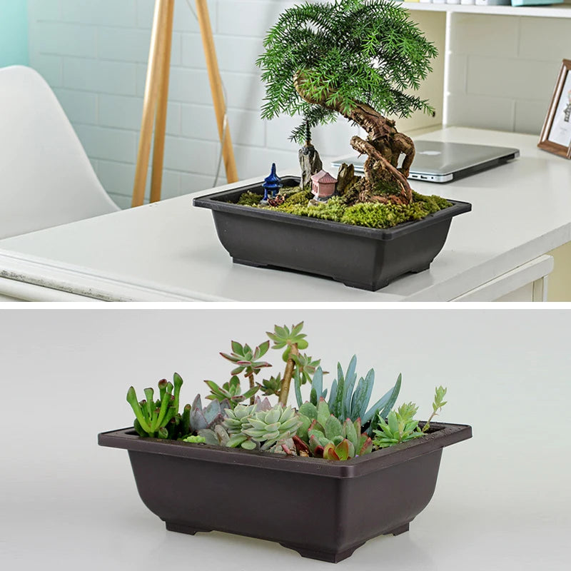 Square Bonsai Tray Planter – Imitation Purple Clay Flower Pot