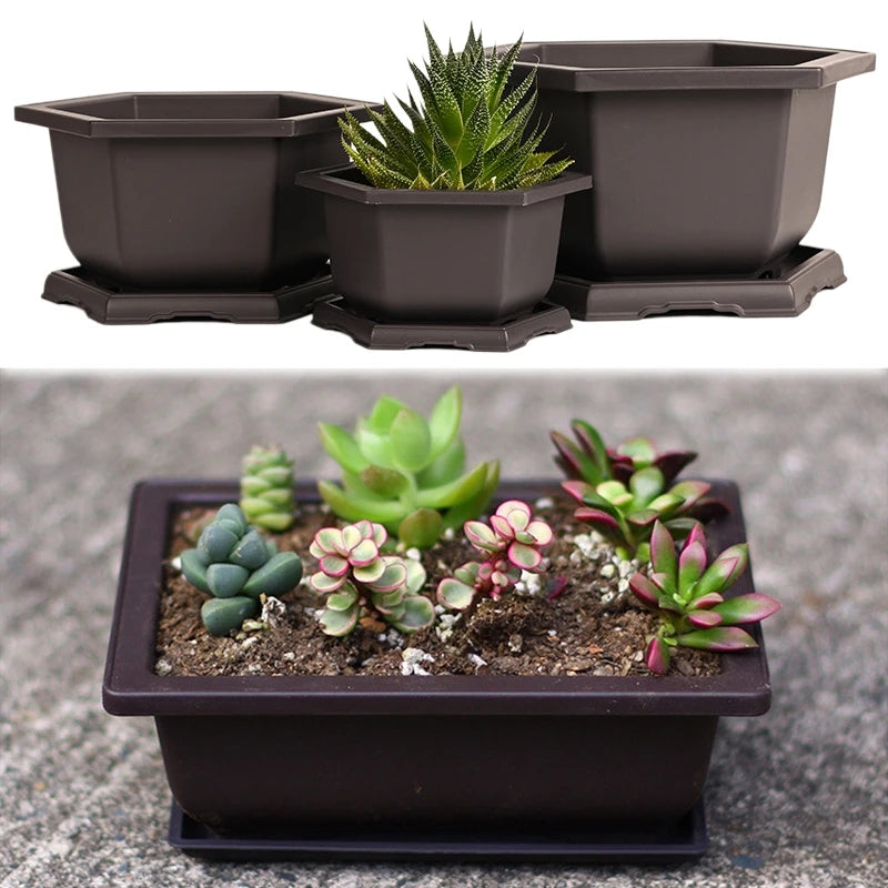 Square Bonsai Tray Planter – Imitation Purple Clay Flower Pot