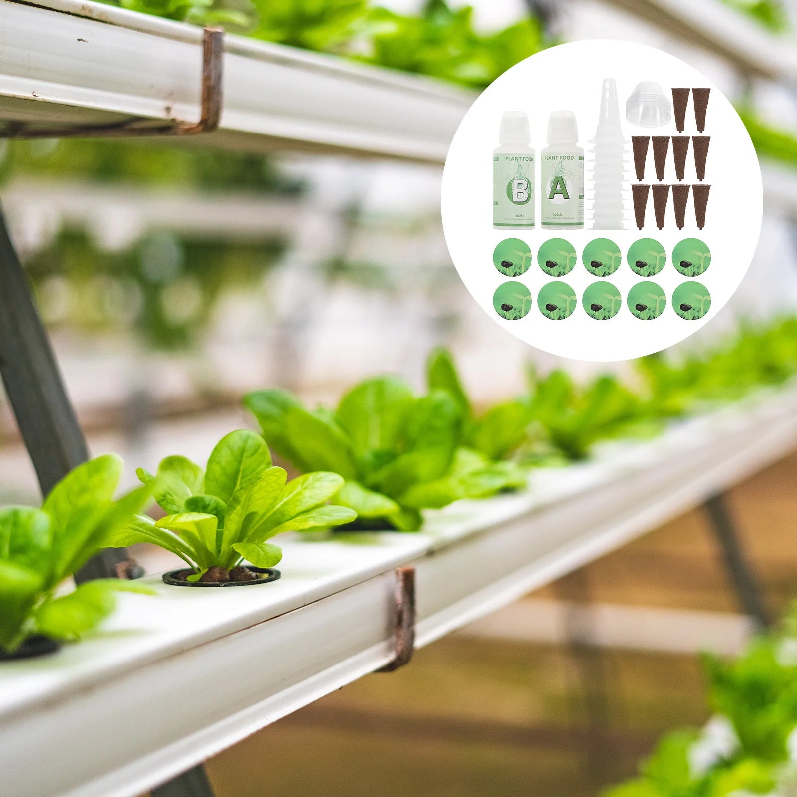 Hydroponic Plant Grow Basket Set – Soilless Pots with Humidity Dome