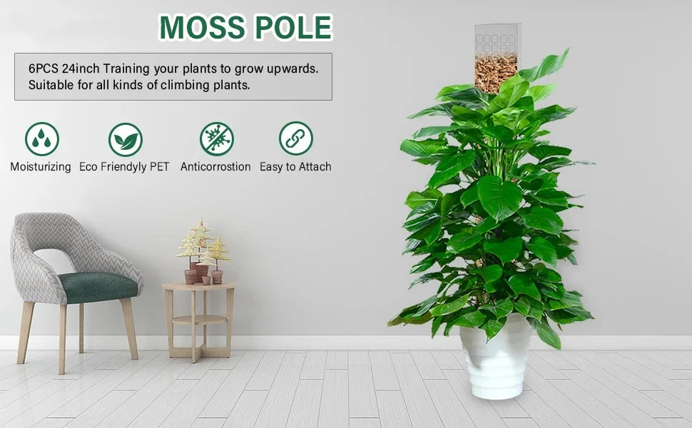 Moss Pole Plant Support – Indoor Climbing Plant Stand