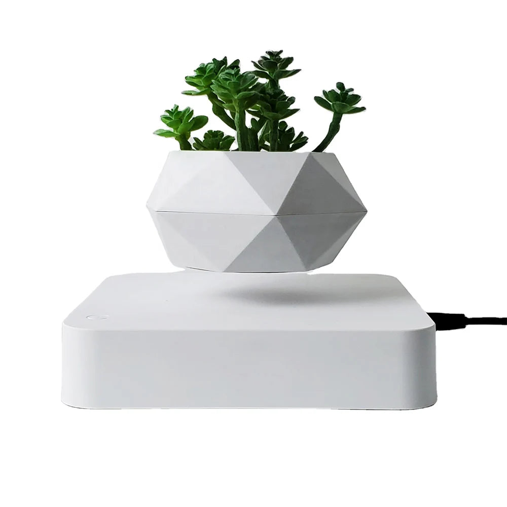 Levitating Air Bonsai Pot – Magnetic Floating Planter