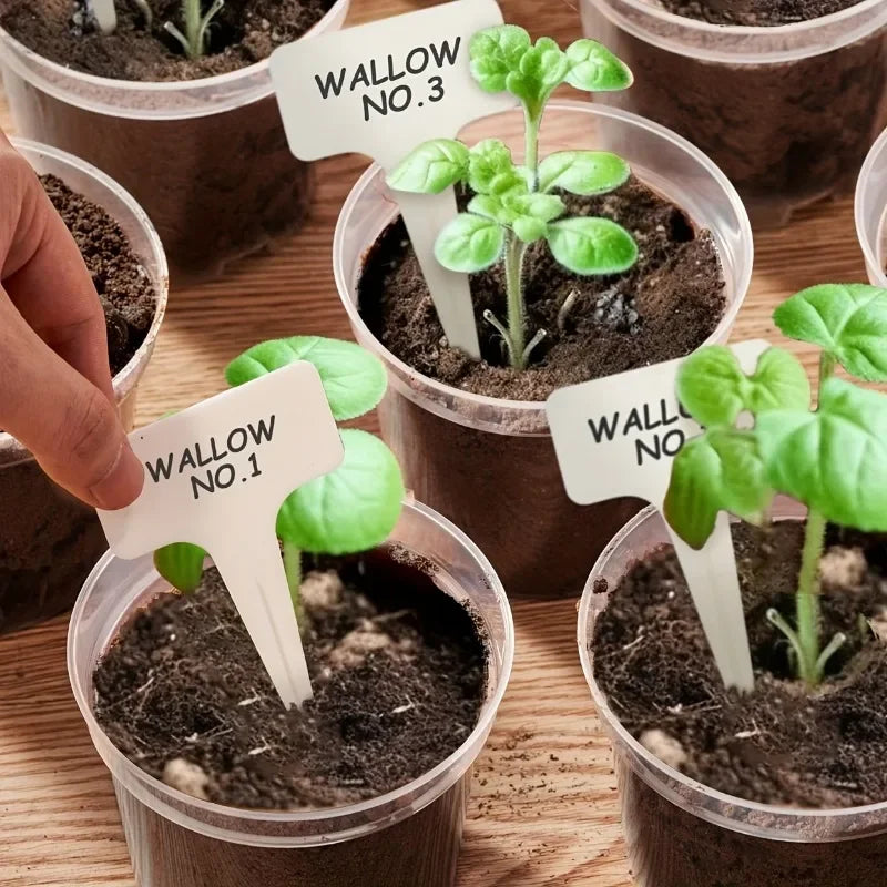 72-Piece Clear Nursery Pot Set with Trays & Labels – Seed Starter Kit