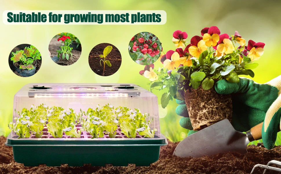 36-Cell Seed Starter Tray with Adjustable Grow Light & Humidity Dome