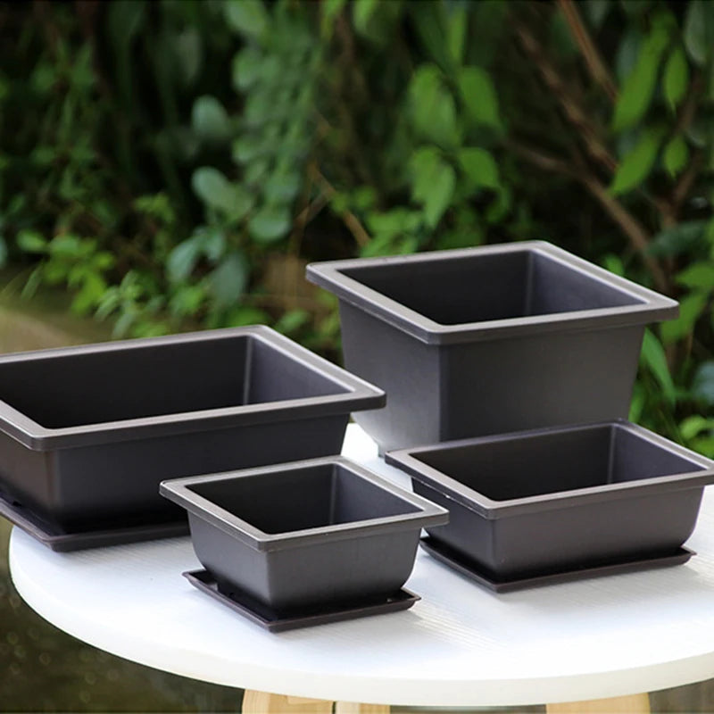 Square Bonsai Tray Planter – Imitation Purple Clay Flower Pot