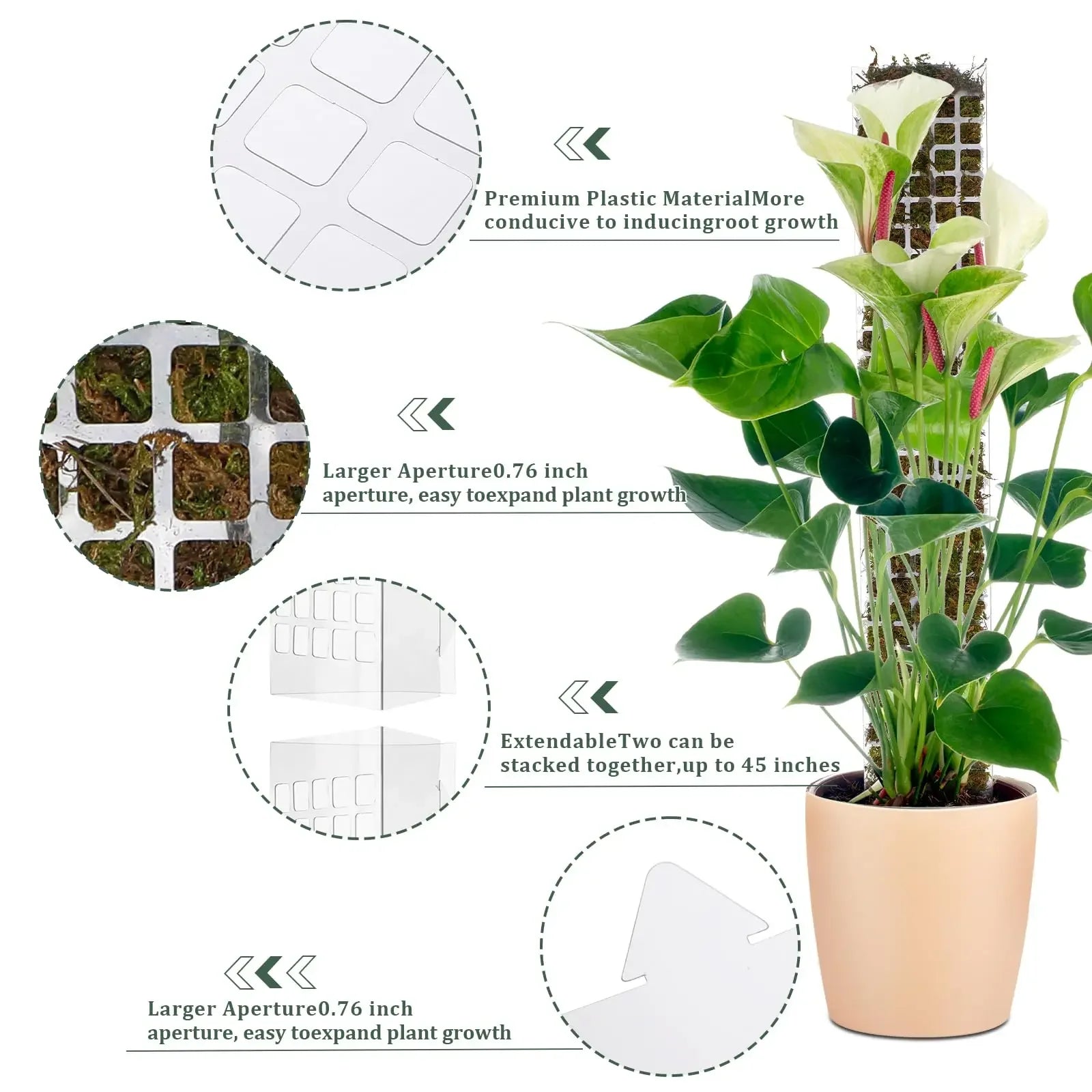 Moss Pole Plant Support – Indoor Climbing Plant Stand