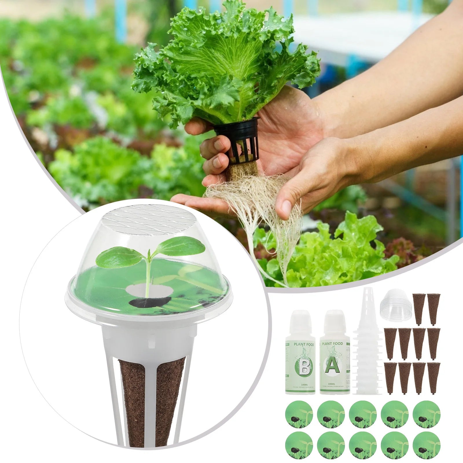 Hydroponic Plant Grow Basket Set – Soilless Pots with Humidity Dome