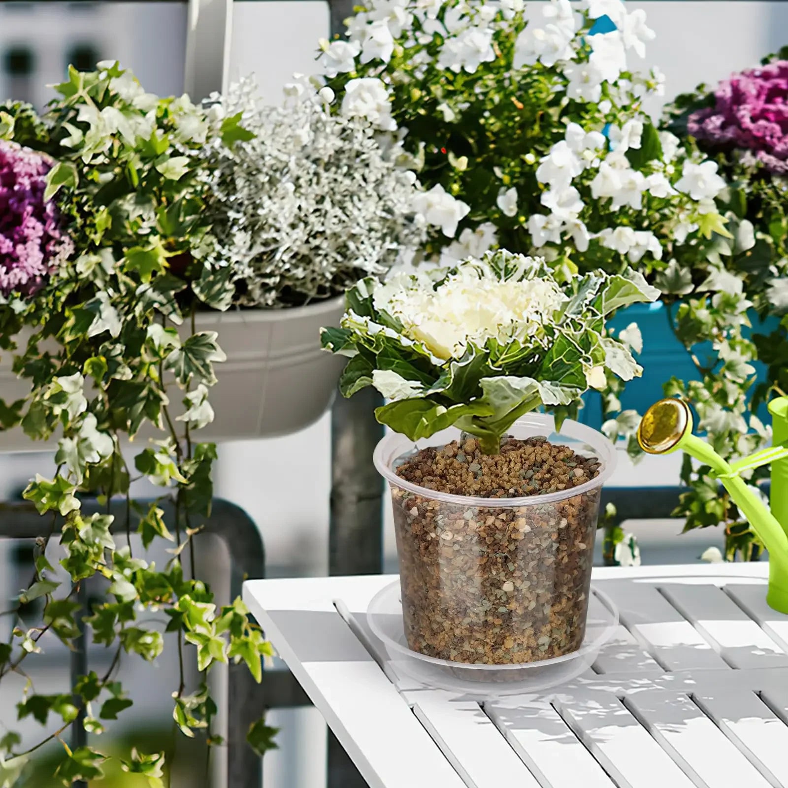 72-Piece Clear Nursery Pot Set with Trays & Labels – Seed Starter Kit