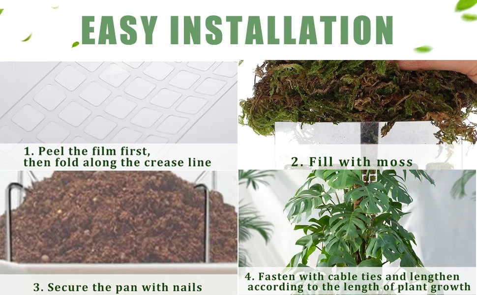 Moss Pole Plant Support – Indoor Climbing Plant Stand