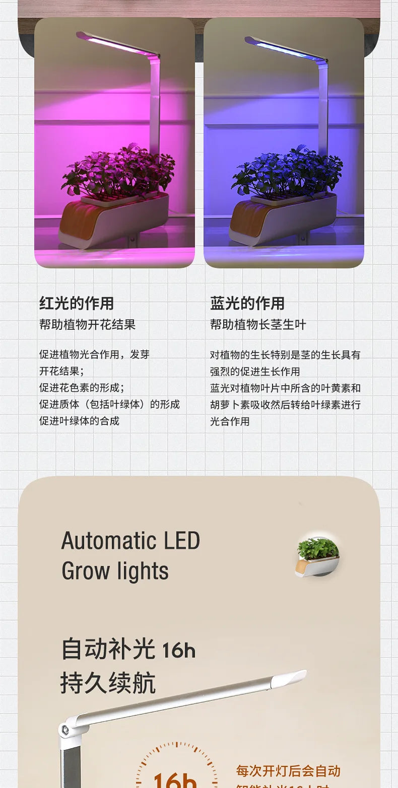 Smart Hydroponic Flowerpot – Mini Indoor Vegetable & Succulent Planter