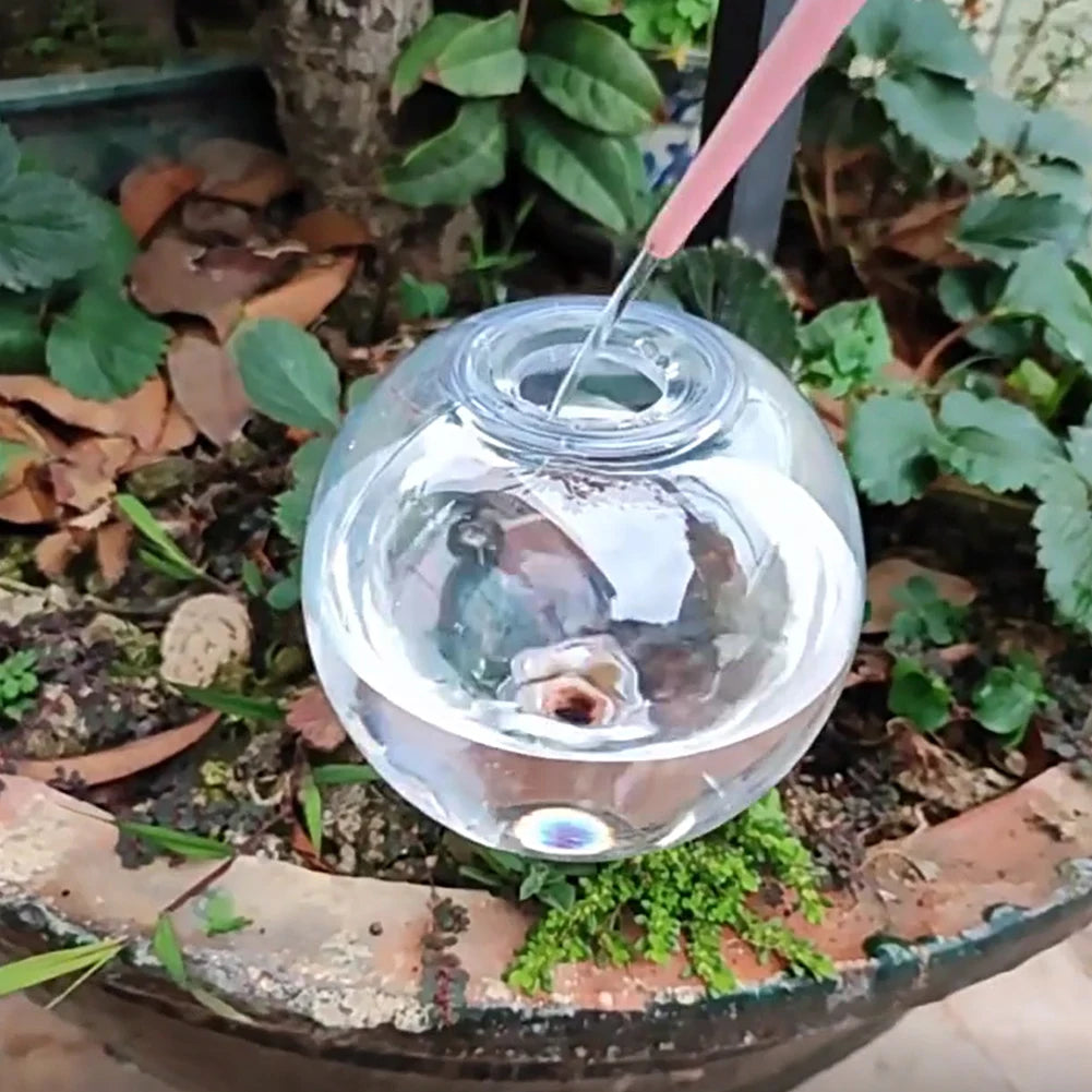 1/2/4 Pcs Automatic Plant Watering Bulbs – 500ml Glass Self-Watering Globes