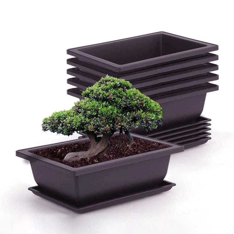 Square Bonsai Tray Planter – Imitation Purple Clay Flower Pot