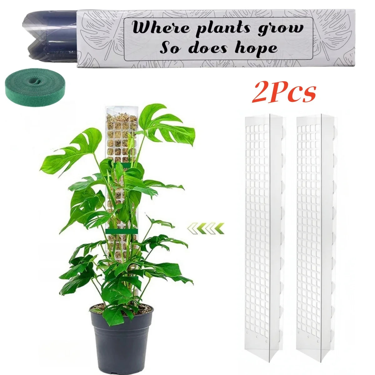 Moss Pole Plant Support – Indoor Climbing Plant Stand