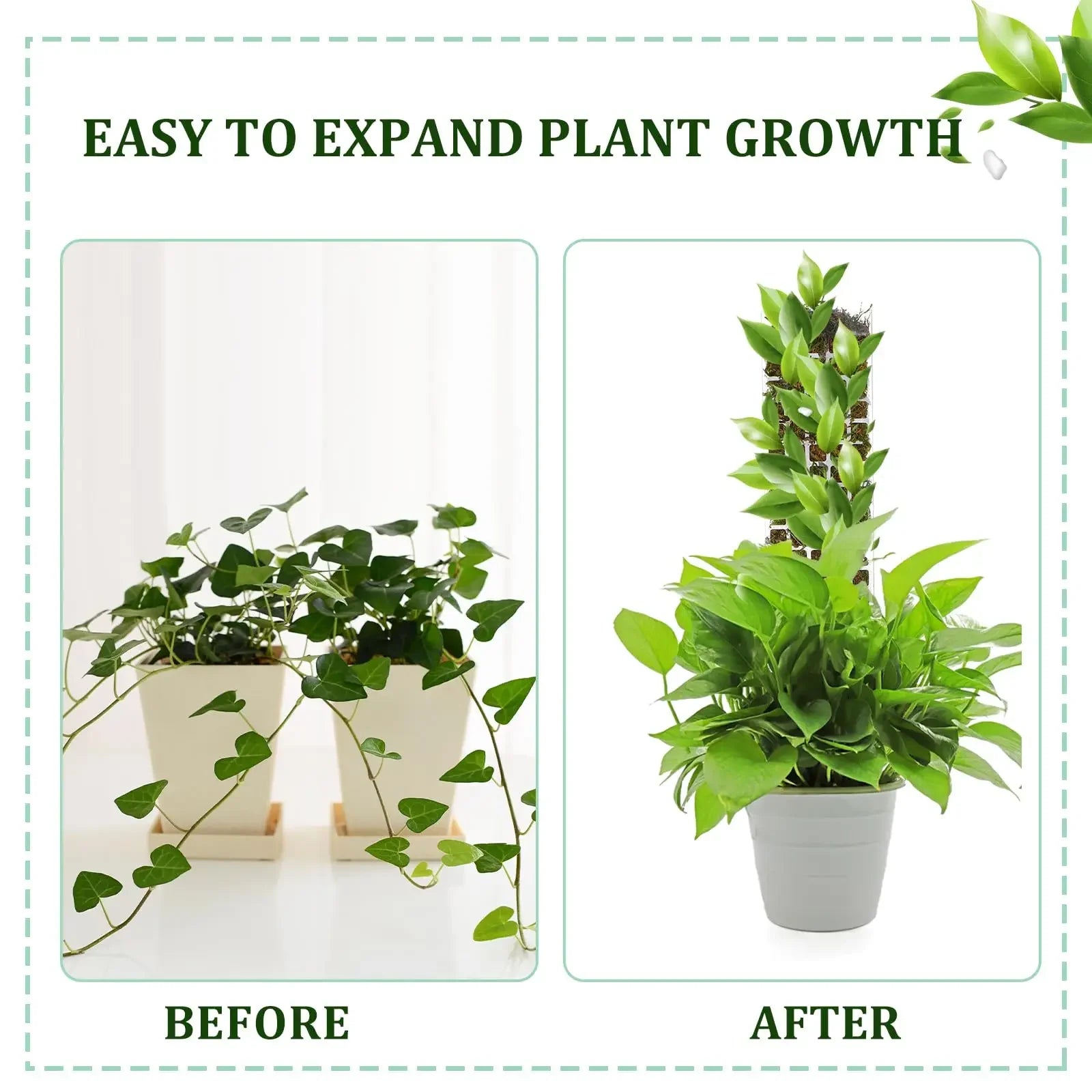 Moss Pole Plant Support – Indoor Climbing Plant Stand