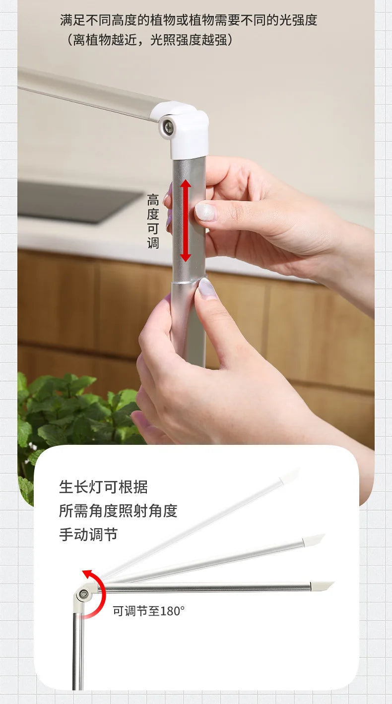 Smart Hydroponic Flowerpot – Mini Indoor Vegetable & Succulent Planter