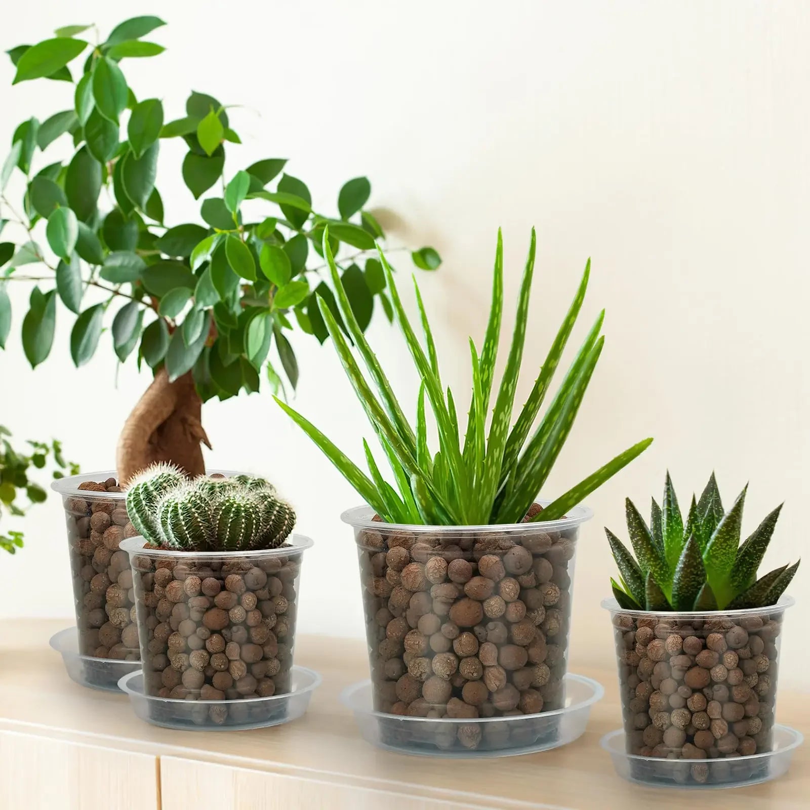 72-Piece Clear Nursery Pot Set with Trays & Labels – Seed Starter Kit