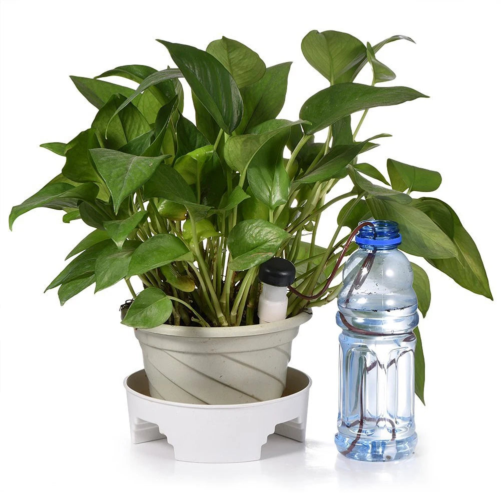 8-Piece Self-Watering Plant Stakes – Automatic Drip Irrigation Kit